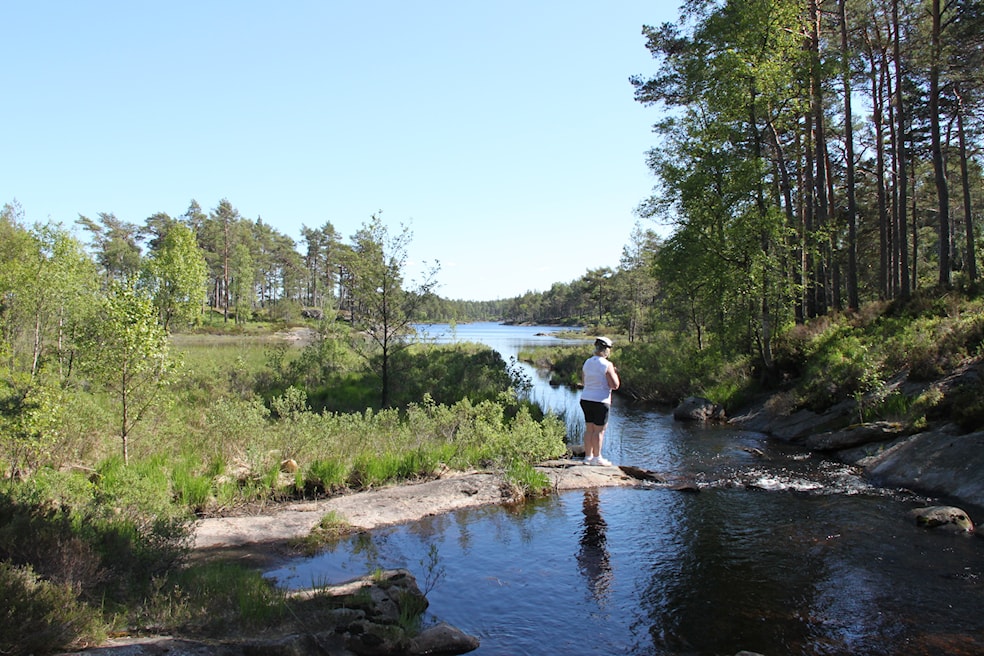 Nordre Boksjøen